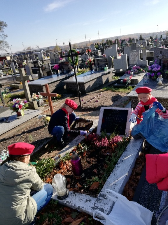 Tutaj powinien być opis