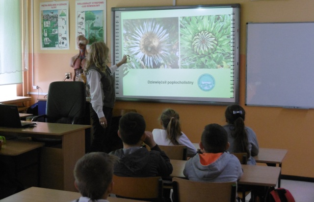 Tutaj powinien być opis