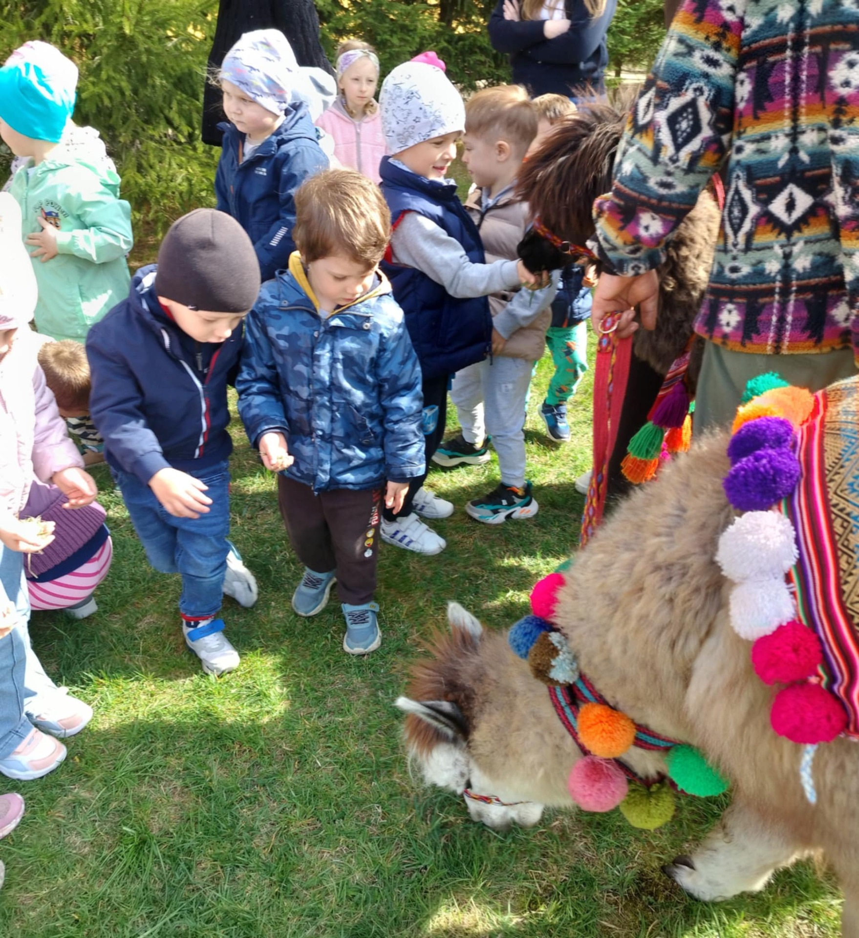 Tutaj powinien być opis