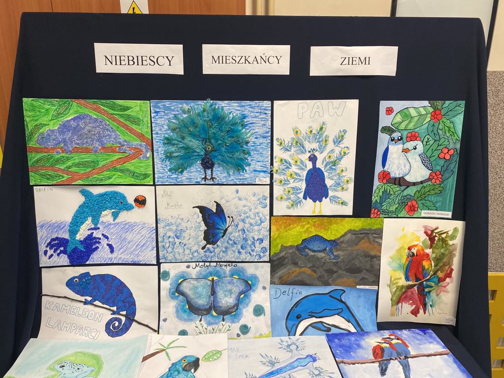 Tutaj powinien być opis