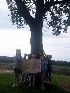 Sześciu uczniów na tle drzewa z banerem "Strażnicy lasu"