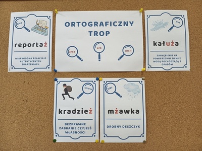 img_20241030_091448627.jpg[small]