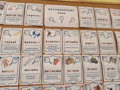 img_20250523_103758764.jpg[small]