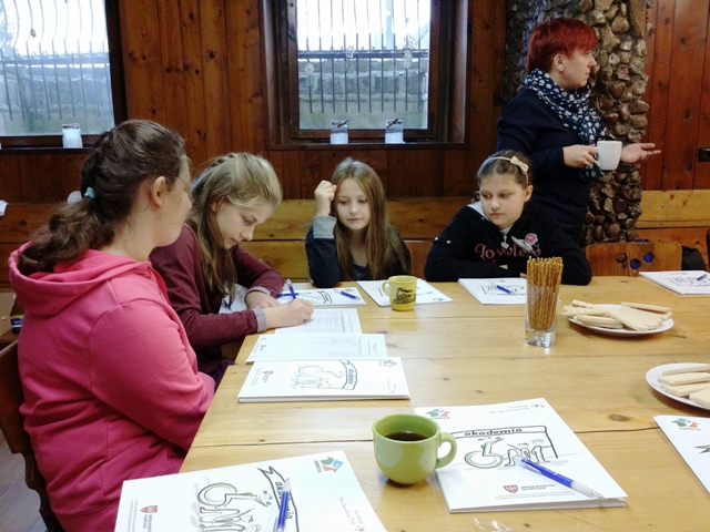 Tutaj powinien być opis