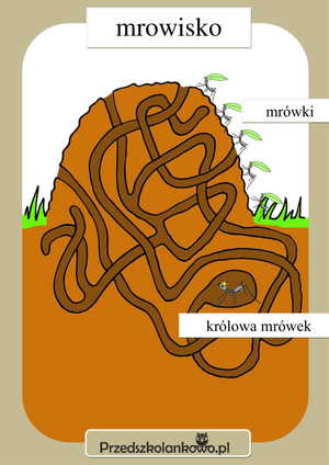 planszamrowisko1jpg [300x424]