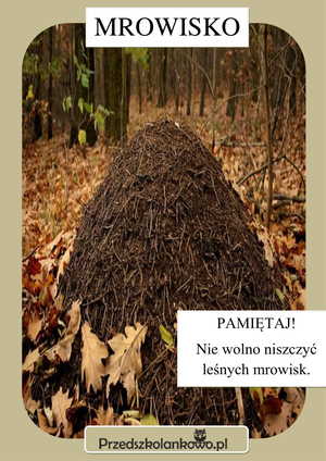 planszamrowisko21jpg [300x424]