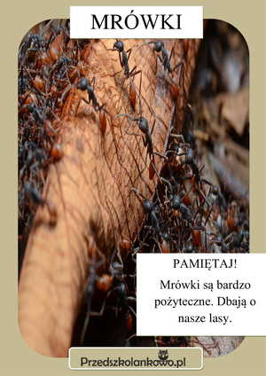 planszamrowki1jpg [300x424]