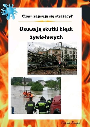 klęska żywiołowa [300x425]