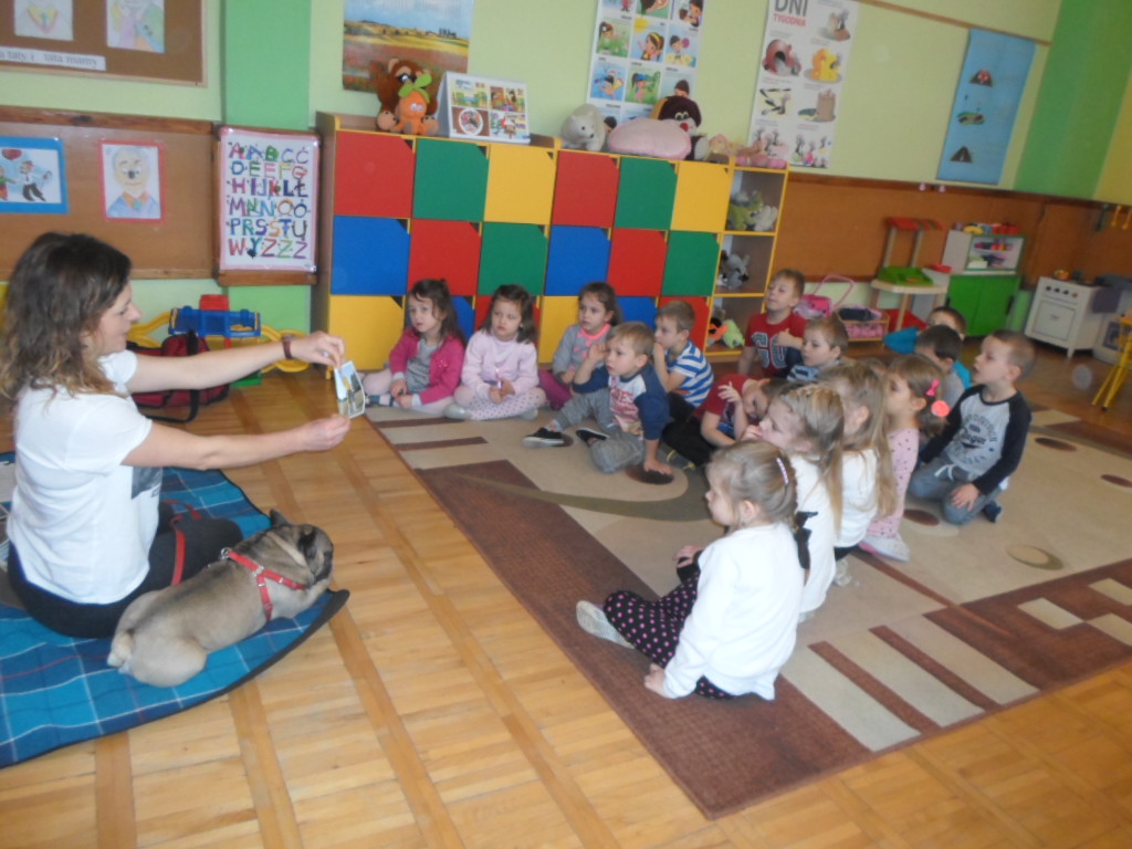 Tutaj powinien być opis