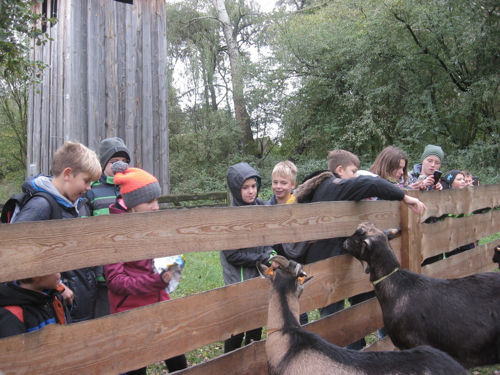Tutaj powinien być opis obrazka