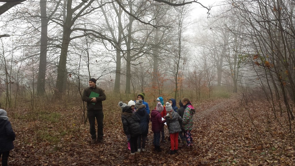 Tutaj powinien być opis obrazka