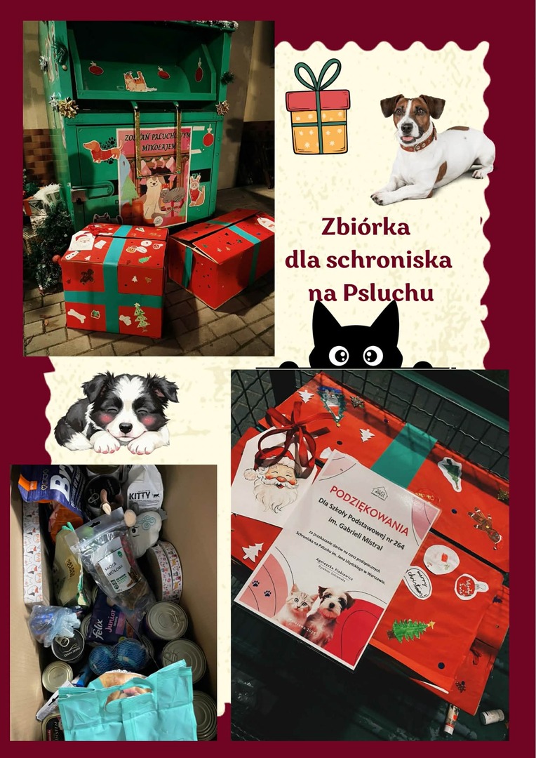 5_swietlica_zbiorka_paluch.jpg [1448x2046]