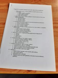 Potyczki językowe - test