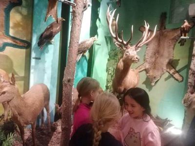 W muzeum