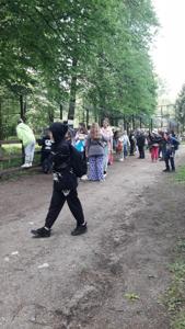 Wypatrywanie wilków