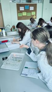 LABORATORIA NA LEKCJACH CHEMII