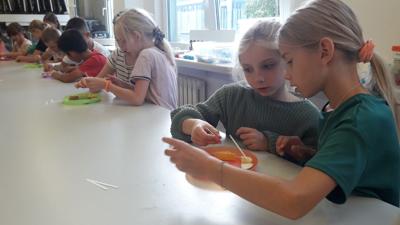 SPRAWDZAMY, KTÓRE OWOCE MAJAA NAJWIĘCEJ CUKRU