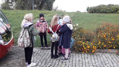 Zastanawaimy się jak usiąść w eko-busikach