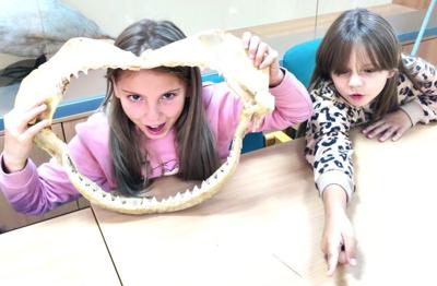 Klasa 3b - NIEZAPOMNIANA WYCIECZKA DO WARSZAWSKIEGO ZOO