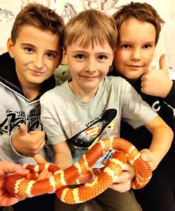 Klasa 3b ZOO 1.