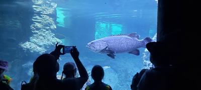 Afrykarium we Wrocławskim ZOO