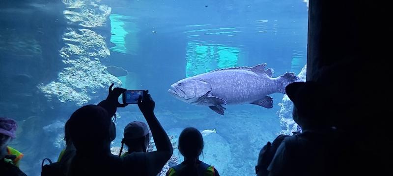 Afrykarium we Wrocławskim ZOO