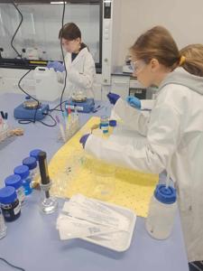 Badania laboratoryjne 4