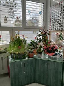 sala 40