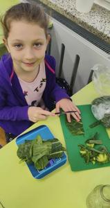 KLASA 1B I FASCYNUJĄCY PROCES PRODUKCJI BIOGAZU 
