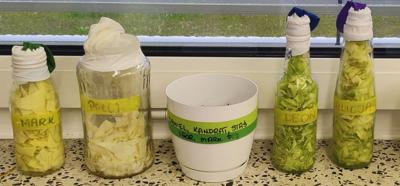 KLASA 1B I FASCYNUJĄCY PROCES PRODUKCJI BIOGAZU 