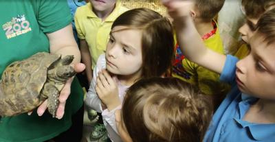 KLASA 1B W JEDYNYM ZOO KONTAKTOWYM W WARSZAWIE 