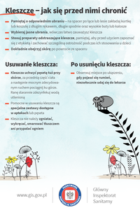 Kleszcze - jak się przed nimi chronić?