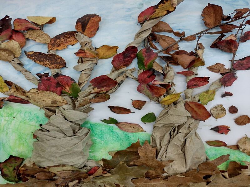 drzewo oczarowane brązem