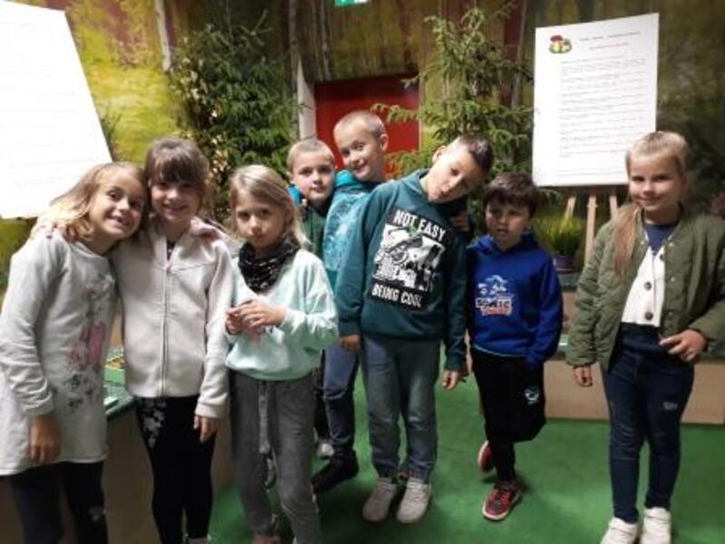 2B NA WYSTAWIE GRZYBÓW