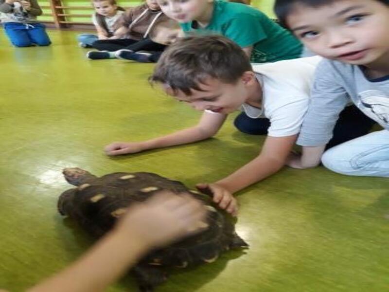 SPOTKANIE ZE ZWIERZĘTAMI