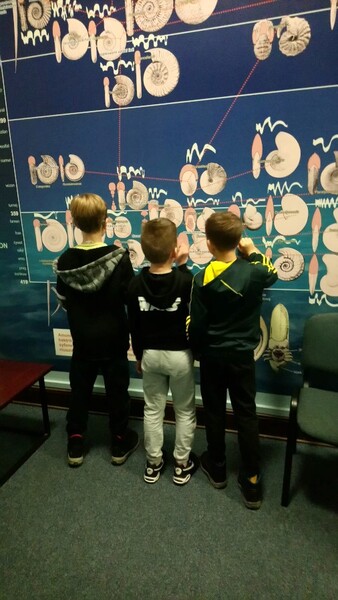 Wszystko jest bardzo ciekawe.