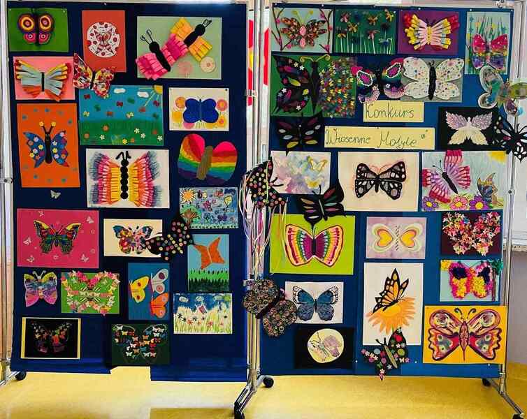 2024.04.20 Konkurs motyle1