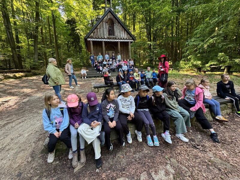 W Parku Świętokrzyskim