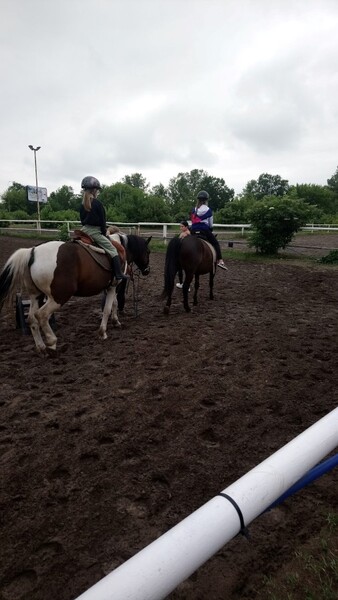 Przejażdżka na koniach