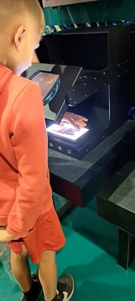 Sprawdzamy autentyczność banknotów.