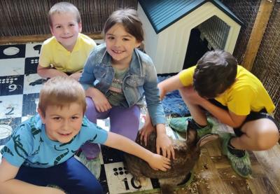 KLASA 1B W JEDYNYM ZOO KONTAKTOWYM W WARSZAWIE 