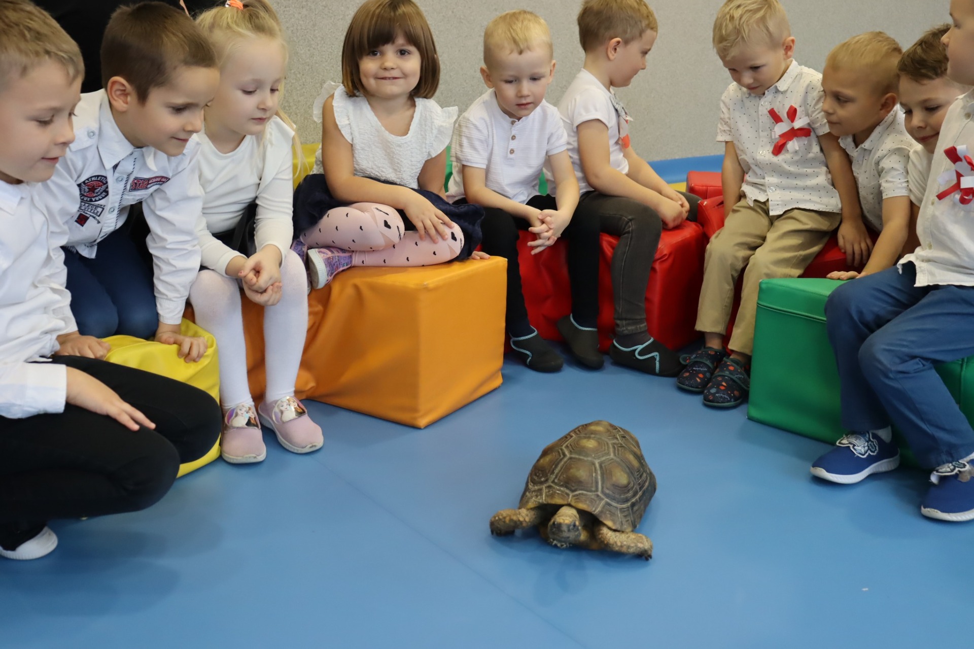 Tutaj powinien być opis obrazka