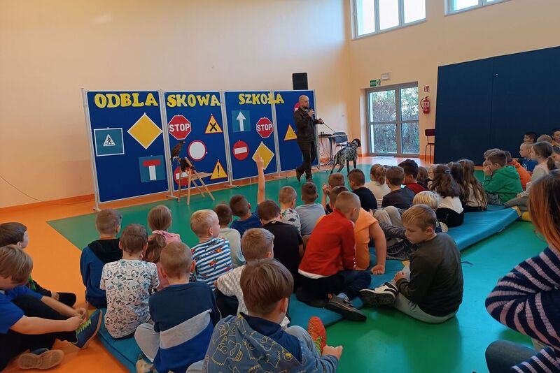 Zdjęcie