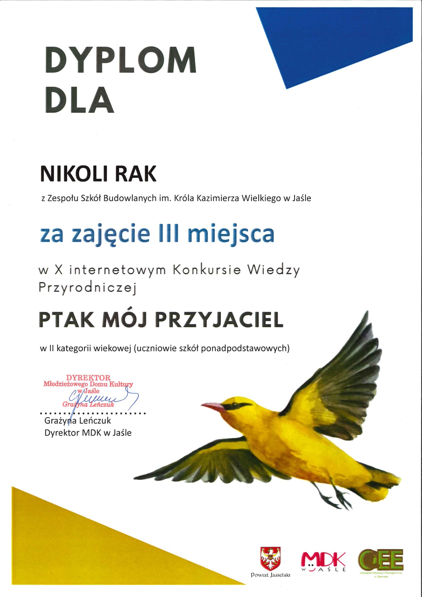 Tutaj powinien być opis