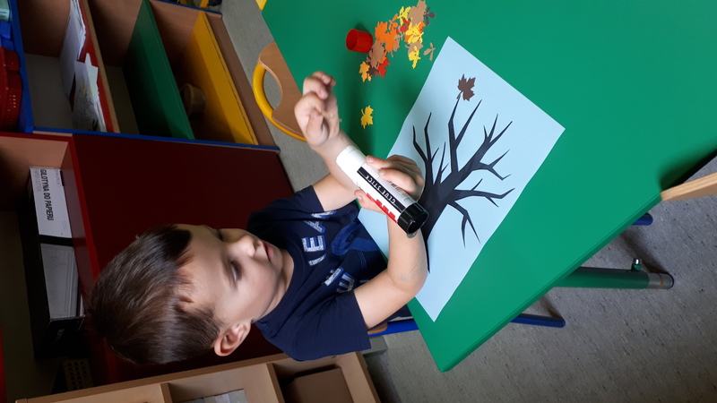 Zdjęcie