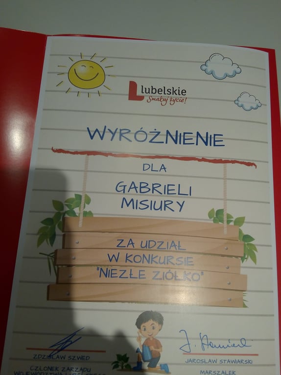 Tutaj powinien być opis