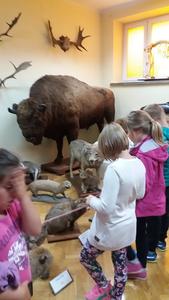 Dzieci oglądają zwierzęta w Muzeum Zoologicznym.