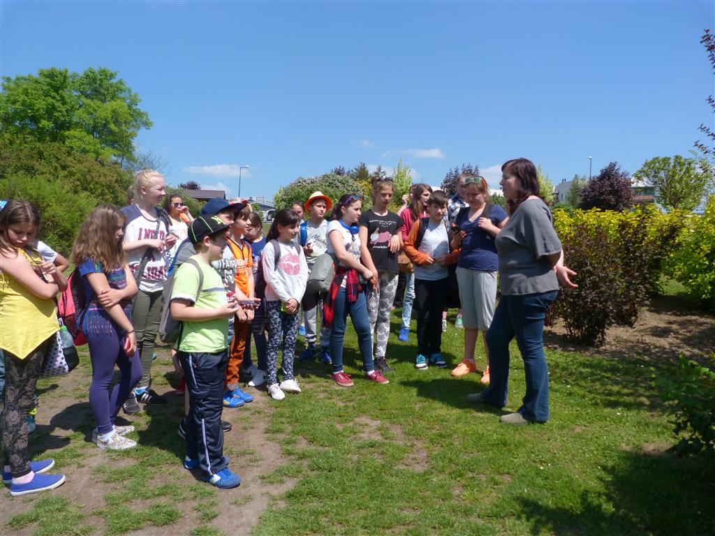 Tutaj powinien być opis