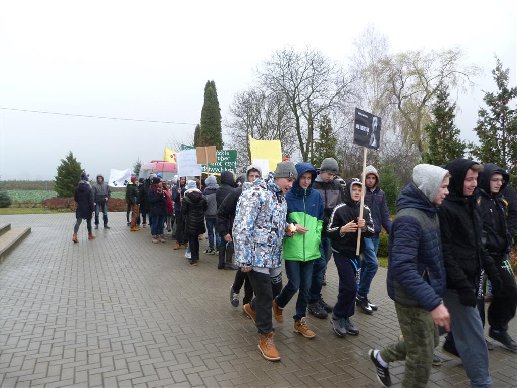 Tutaj powinien być opis