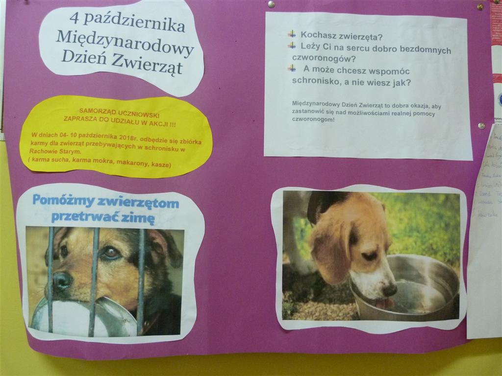 Tutaj powinien być opis